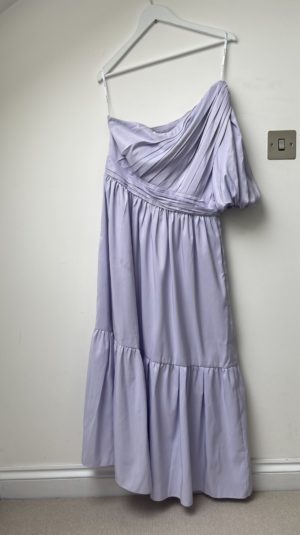 Self-Portrait Purple Maxi Dress