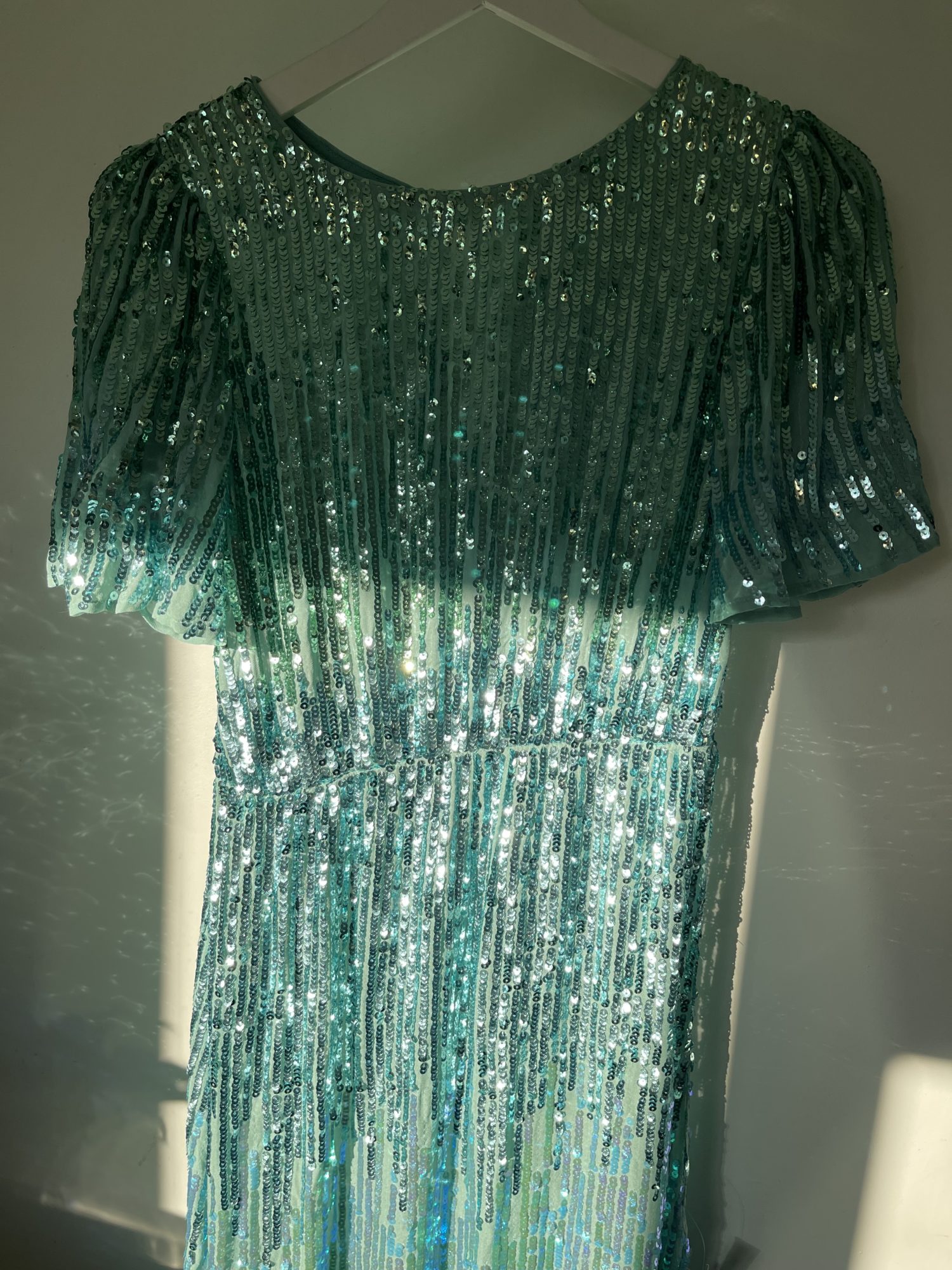 Rixo Venus Sequin Midi Dress – StyleSwap